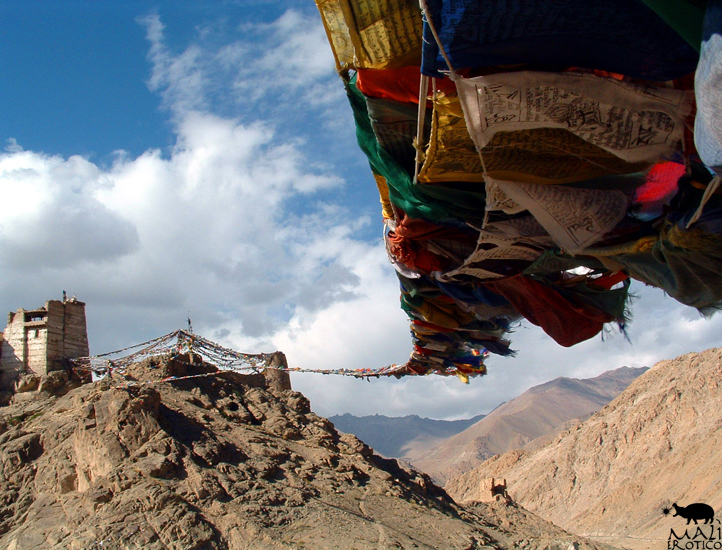 24-ladakh-1-copy.jpg