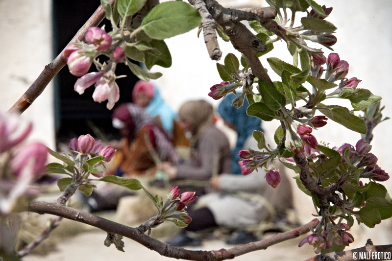 Eco_de_Femmes_Tunisie_12